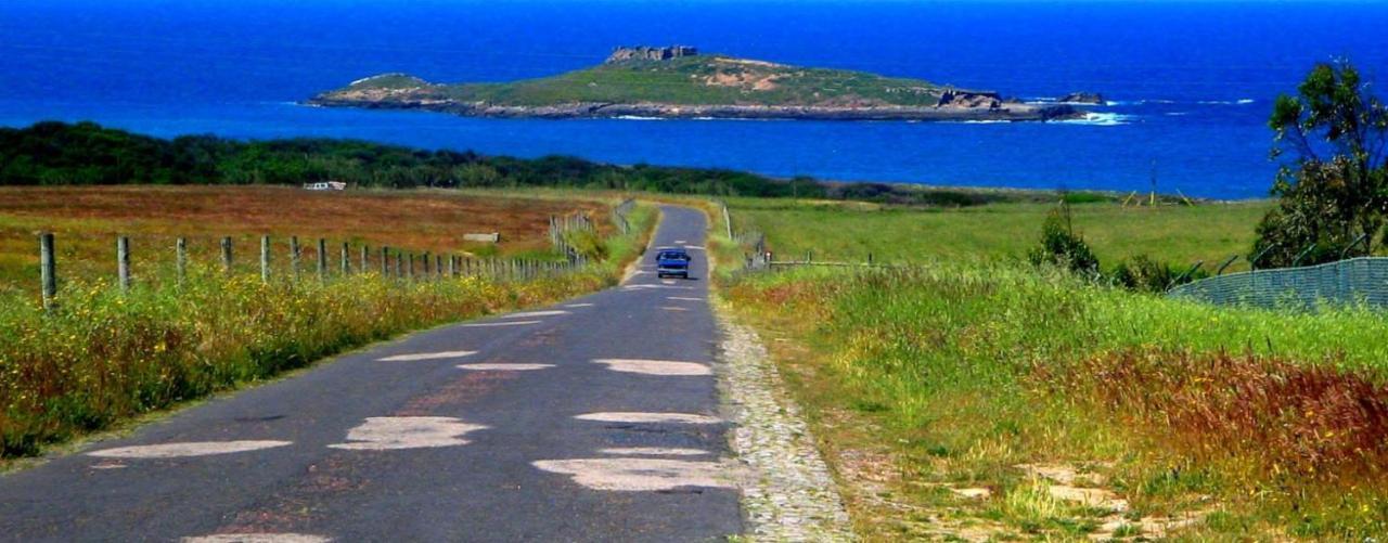 Quartos Abelha Porto Covo Bagian luar foto